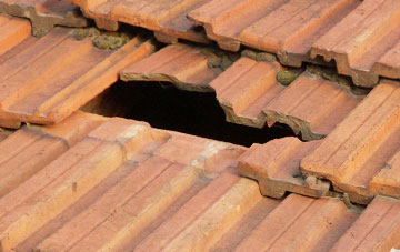 roof repair Haven, Herefordshire